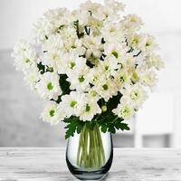 Цветы, долго стоящие в вазе – ТОП 10