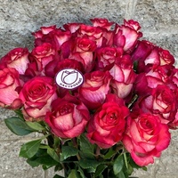 К чему дарят розовые розы – значение цветов