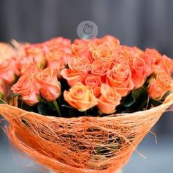 51 оранжевая роза в сезали