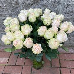 Роза пионовидная 60 см