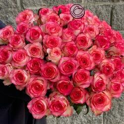 51 роза Джумилия 70 см