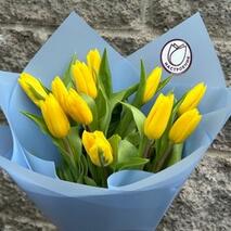 11 желтых тюльпанов в оформлении