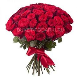 51 Красная роза 60 см (Россия-Голландия)