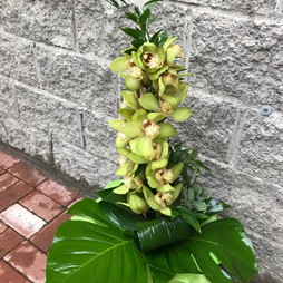 Эксклюзивный букет с зелеными орхидеями