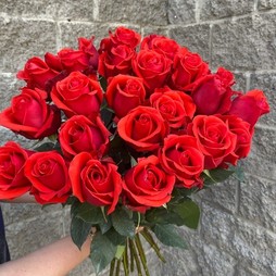 Роза 70 см Эквадор красная (в асс.)