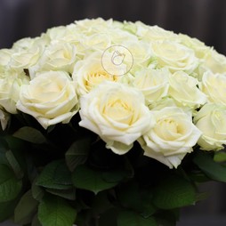 51 белая роза 50 см (Россия)