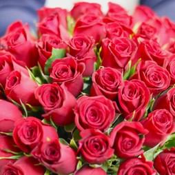Красная роза (Кения) Premium 50 см