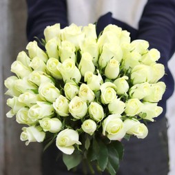 51 белая роза (Кения) Premium 40 см
