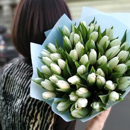 Белые тюльпаны 51 шт.