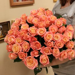 51 роза 50 см Мисс Пигги Новая Голландия