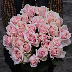 25 роз 50 см (нежно-розовые)