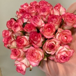 Букет из 25 розовых роз 50 см Россия