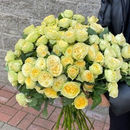 Роза кустовая 50 см