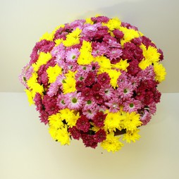 Большой букет из разноцветных хризантем