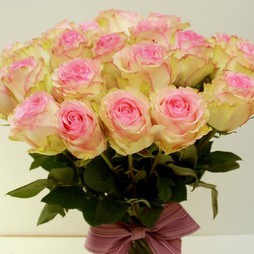 Розовая роза Эспиранс 50 см