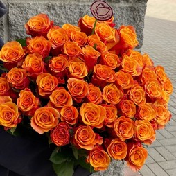 51 роза сорт Испания 50 см