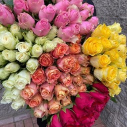 Роза 40 см Кения (разные цвета)