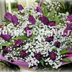 25 Фиолетовых тюльпанов с оформлением