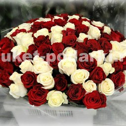 101 роза "микс" Красная и белая 60см