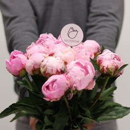 15 розовых пионов без упаковки