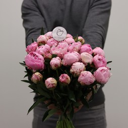 25 розовых пионов без упаковки