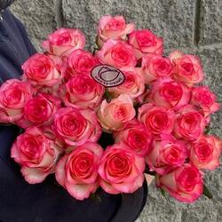 25 роз Джумилия 70 см