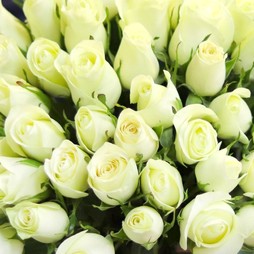 Белая роза (Кения) Premium 40 см