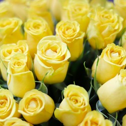 Желтая роза (Кения) Premium 40 см