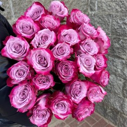 Роза 50 см Эквадор цветная (в асс.)