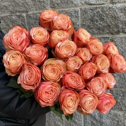 Роза пионовидная 50 см